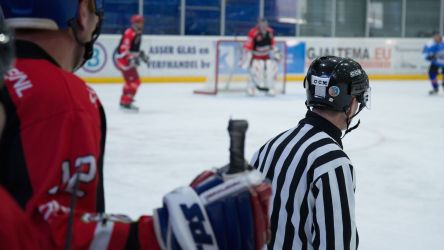 Arizona Wildcats Hockey