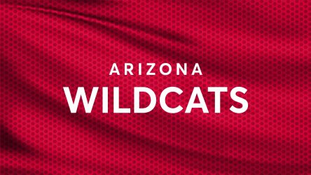 Arizona Wildcats Women&#039;s Soccer