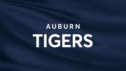 Auburn Tigers Womens Soccer