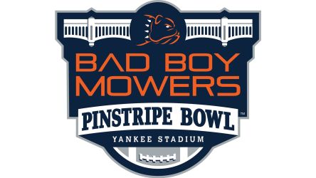 Bad Boy Mowers Pinstripe Bowl