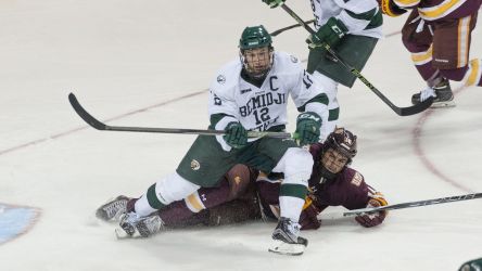 Bemidji State Beavers Mens Hockey