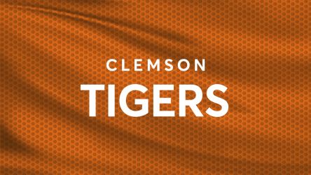 Clemson University Tigers Baseball