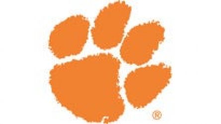 Clemson University Tigers Womens Basketball