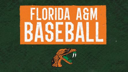 Florida A&amp;m Rattlers Baseball