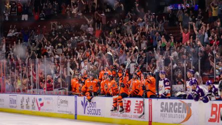 Greenville Swamp Rabbits