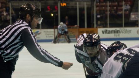 Hartford Wolf Pack