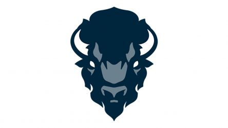 Howard Bison Football