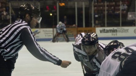 Kalamazoo Wings