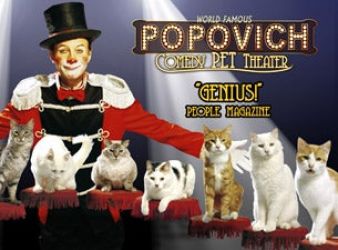 Popovich Comedy Pet Theater