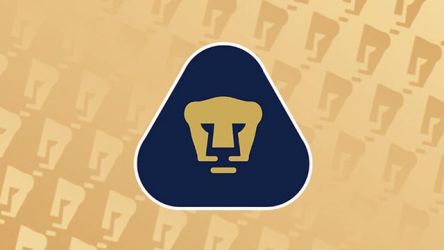 Pumas