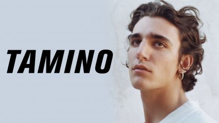 Tamino