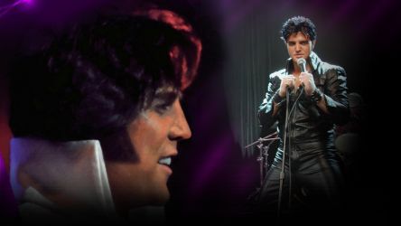 The Elvis Tribute Artist Spectacular