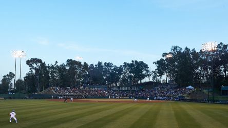 Ucla Bruins Baseball