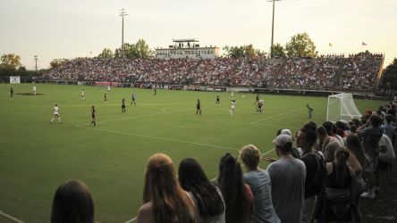 Univ Of South Carolina Gamecocks Womens Soccer