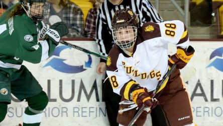 University Of Minnesota Duluth Bulldogs Womens Hockey