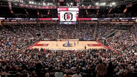 University Of South Carolina Gamecocks Mens Basketball