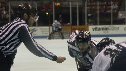 Utah Grizzlies