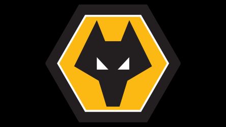 Wolverhampton Wanderers Fc